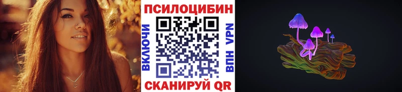Псилоцибиновые грибы мицелий  Купить  Урень 